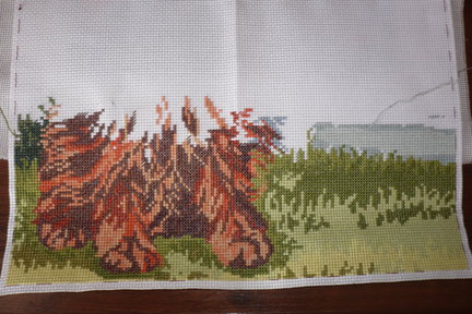 Собака №22401