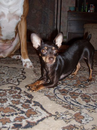 Помоги сделать схему №25751