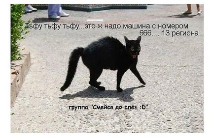 Весёлые картинки №26105