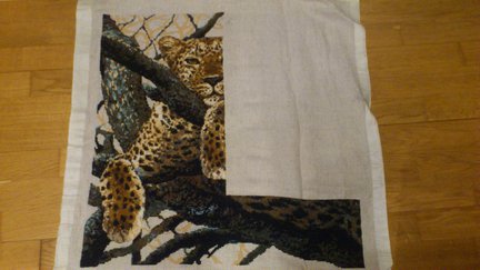 Гепард на ветке №26754