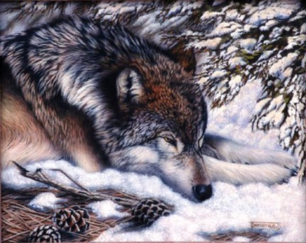 Волки (собираем картинки) №27910