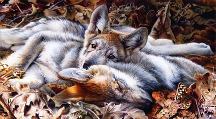 Волки (собираем картинки) №27914