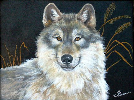 Волки (собираем картинки) №27917