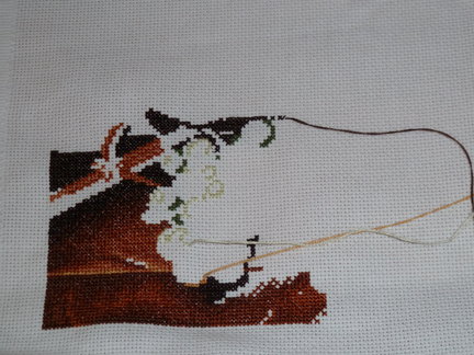 Голландский букет №29677