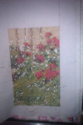 Дом моей мечты №29724