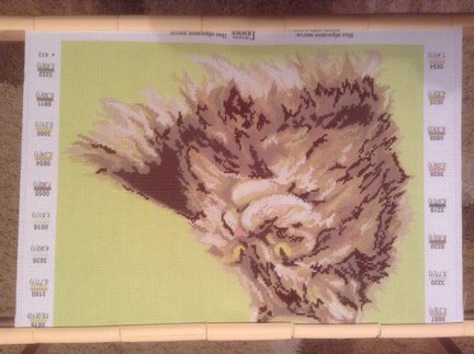 Котик по канве с нанесенным рисунком №30243