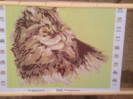 Котик по канве с нанесенным рисунком №30244