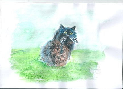 Кто каким рукоделием увлекается кроме вышивки? №30253