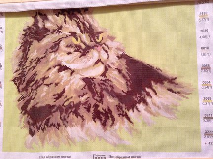 Котик по канве с нанесенным рисунком №30685