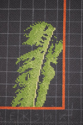 Древесная лягушка на листьях №34686