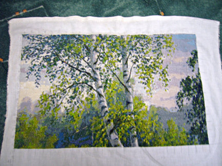 Березы №35492