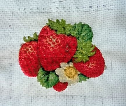 Moi klubniki №35994