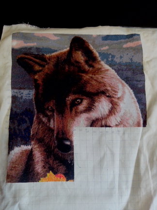 Процесс «Животные планеты» №36768