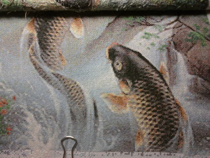 Карпы-прыгуны №37147