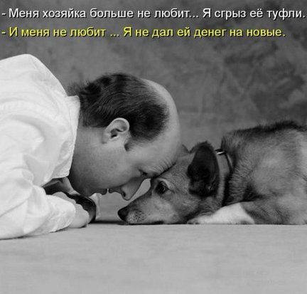 Весёлые картинки №37558