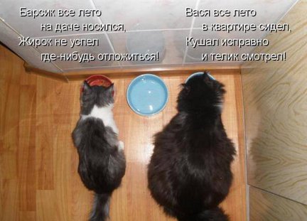 Весёлые картинки №37561