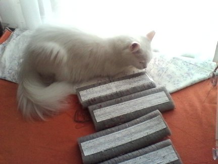 «Французские розы» ГК 2079 №37854