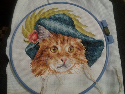 Кот АТОС №37911