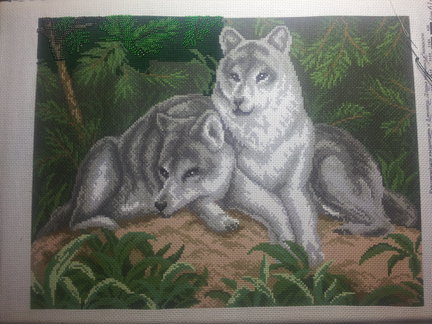 Пара волков №38971