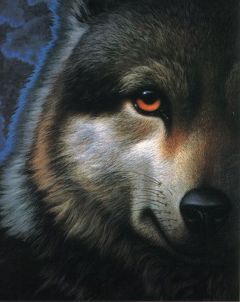 Волки (собираем картинки) №39835