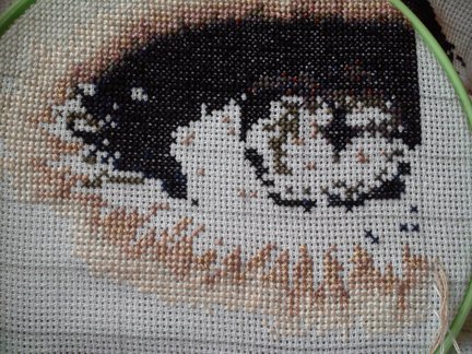 Параллельная работа «Глаза» №41900