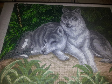 Пара волков №41964