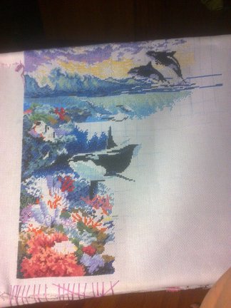 Живой океан №44770