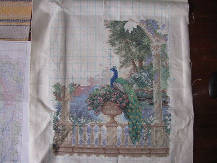 Мой процесс вышивки «Великолепный павлин» №45443