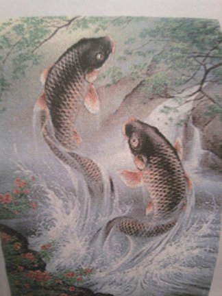 Карпы-прыгуны №45673