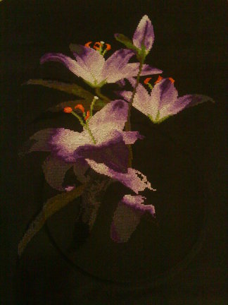 Мой новый процесс «Ночные лилии» №46121