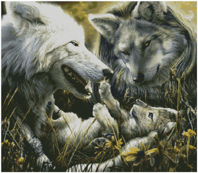 Помогите найти пару волков №46428