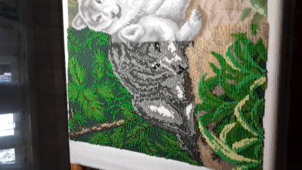 Пара волков №46607