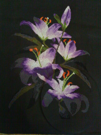 Мой новый процесс «Ночные лилии» №46836