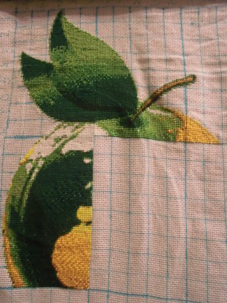 Яблоко географа №47074