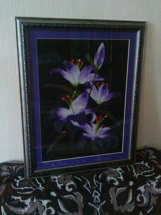 Мой новый процесс «Ночные лилии» №47349