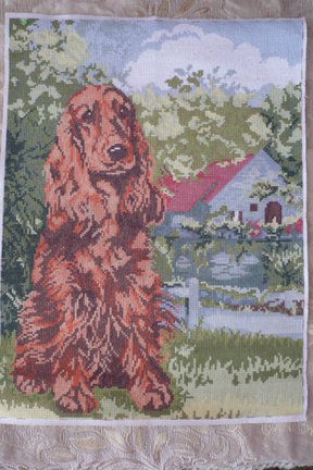 Собака №47656