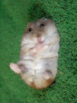 Смешно о вышивке №47789