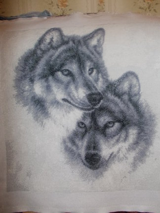 Помогите найти пару волков №49773
