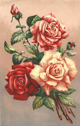 Очень нужна помощь! №51283