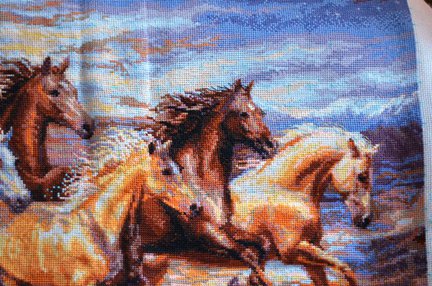 «В лучах заката» от RIOLIS №51424