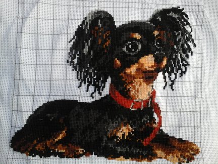 Фирма «Риолис» №54075