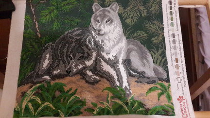 Пара волков №54682