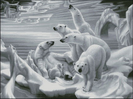 Девчонки! Помогите пожалуйста самому новичку. №54774