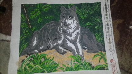 Пара волков №55980