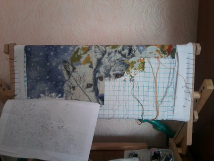 Волки в процессе с Crosti.Ru №56689