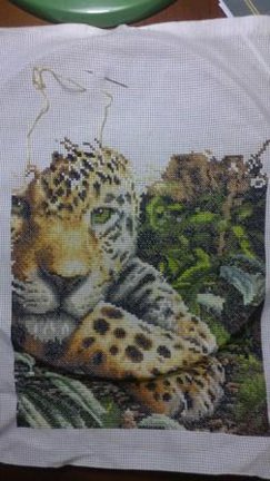 Предлагаю совместный процесс «Leopard in Repose» №57842