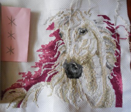 Давайте вместе №58019