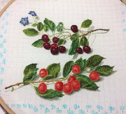 Ягодный семплер №58345