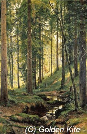 Можно ли доверять? №58421