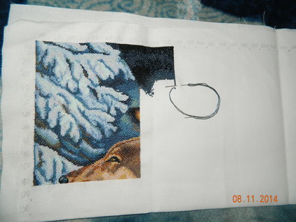 Волчий взгляд №59195